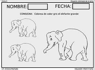 Fichas Infantiles